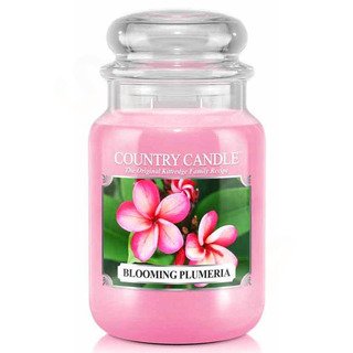 Country Candle Velká vonná svíčka ve skle Blooming Plumeria 652g