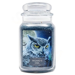 Velká vonná svíčka ve skle Wizards Owl 645g - Čarodějova sova